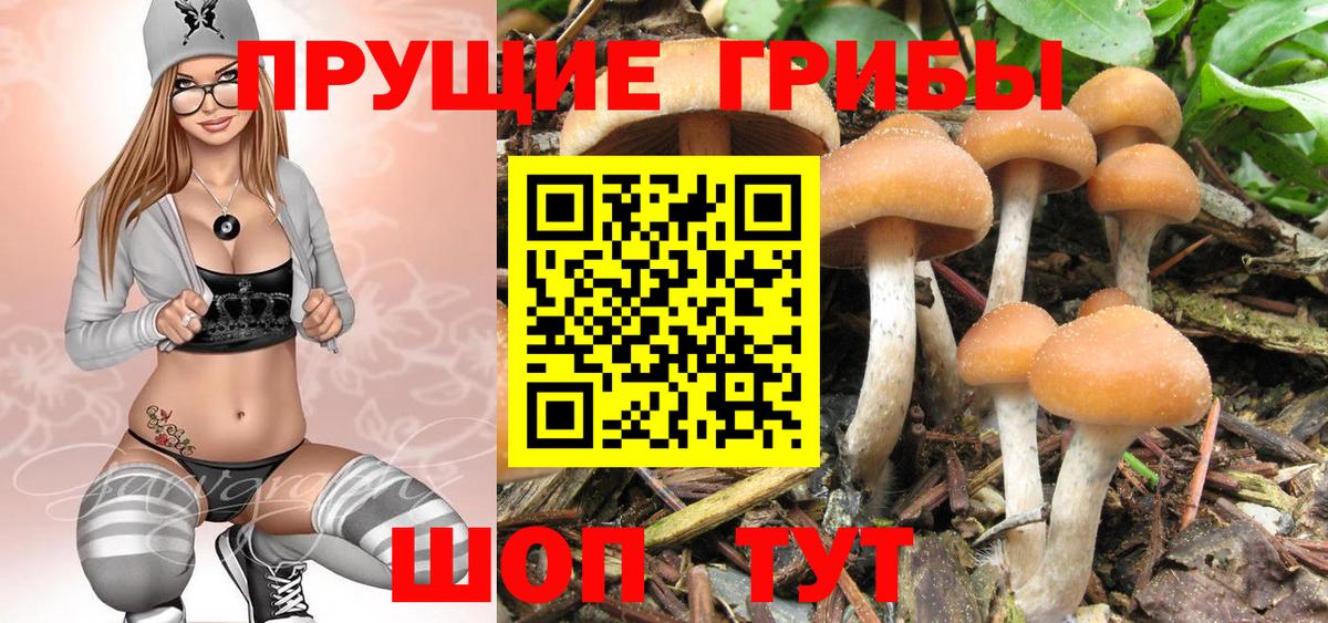 Псилоцибиновые грибы Psilocybe  Псилоцибиновые грибы MAGIC MUSHROOMS  Фурманов  Вход с VPN 